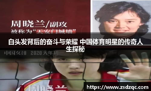 tyc9728太阳成集团