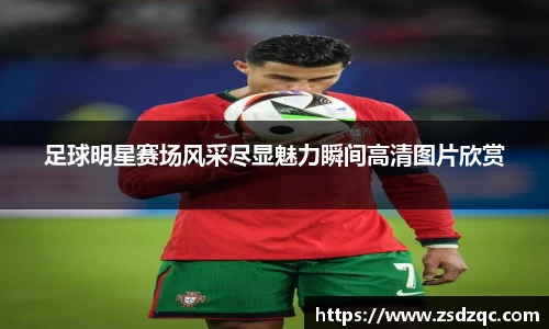 tyc9728太阳成集团官网